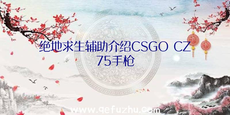 绝地求生辅助介绍CSGO